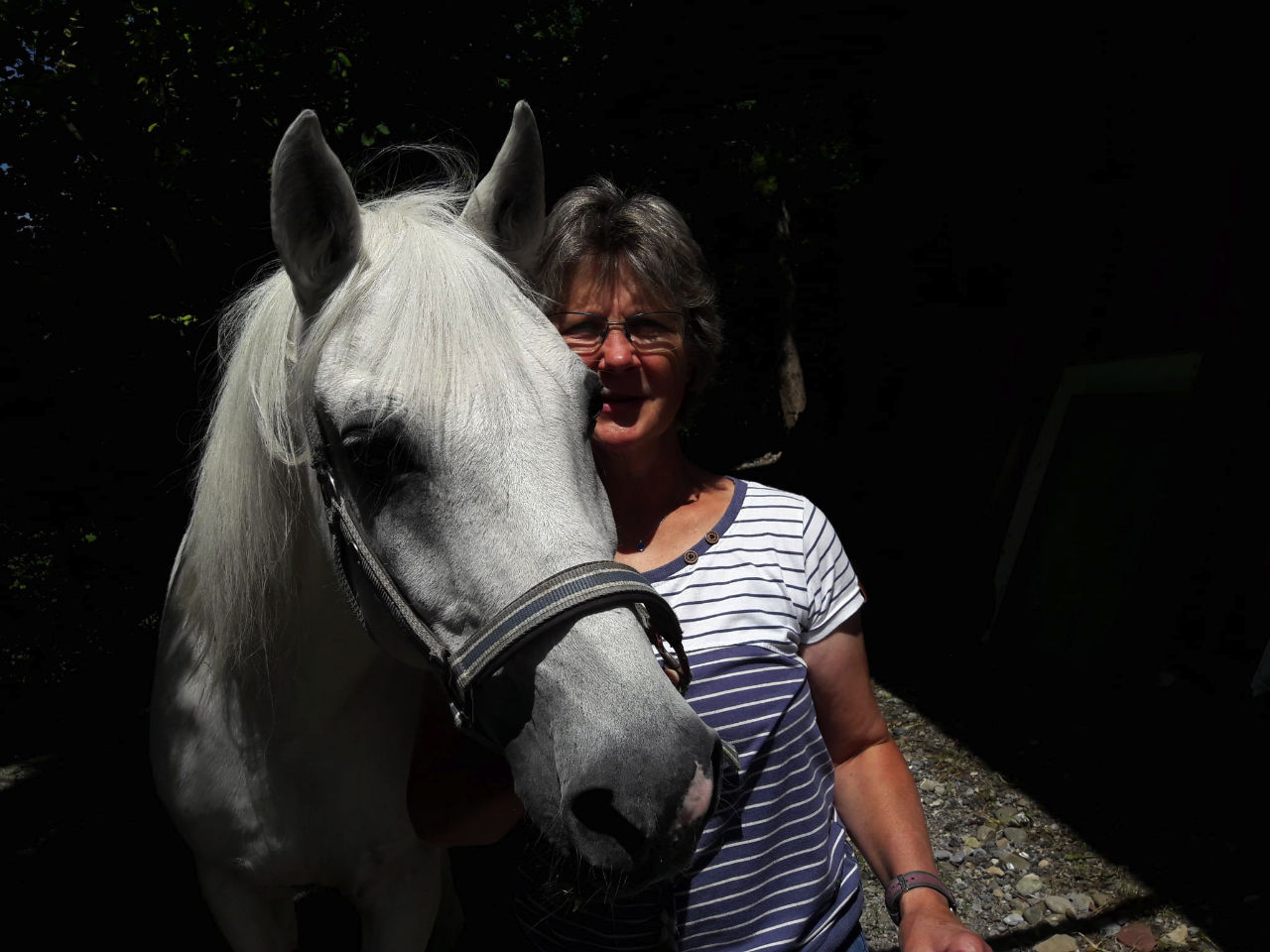 Marianne Buholzer Tiershiatsu Horgen mit Pferd