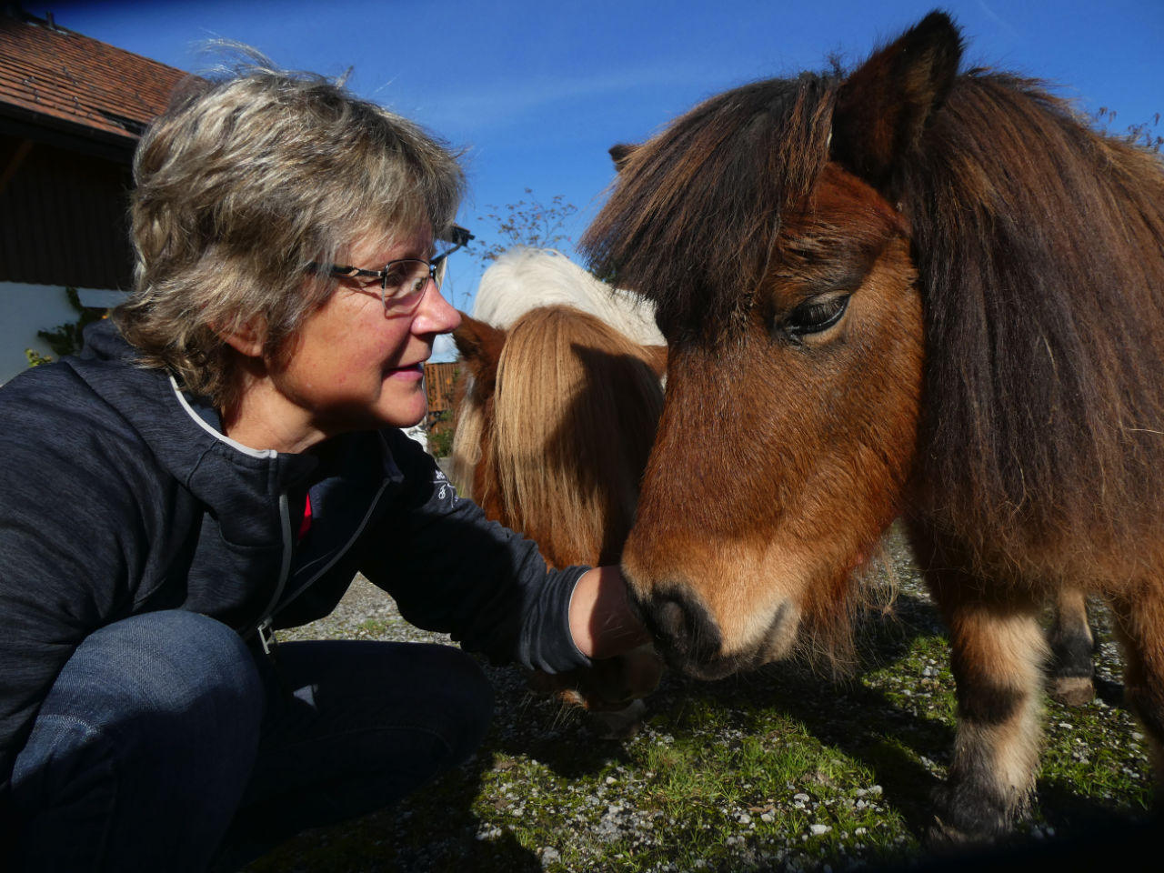 Marianne Buholzer Tiershiatsu Horgen mit Pony